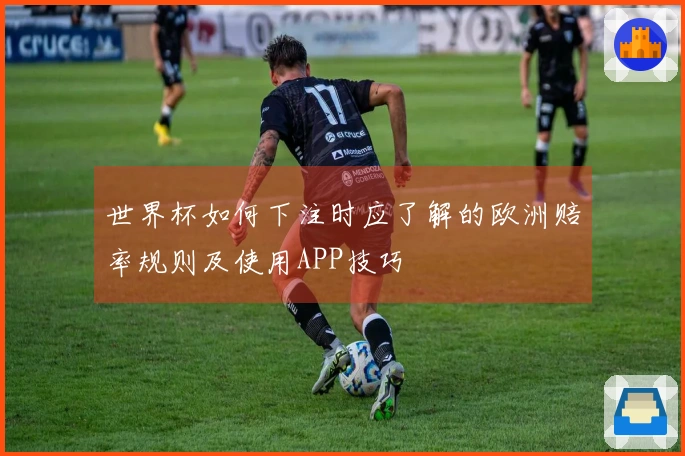 世界杯如何下注时应了解的欧洲赔率规则及使用APP技巧
