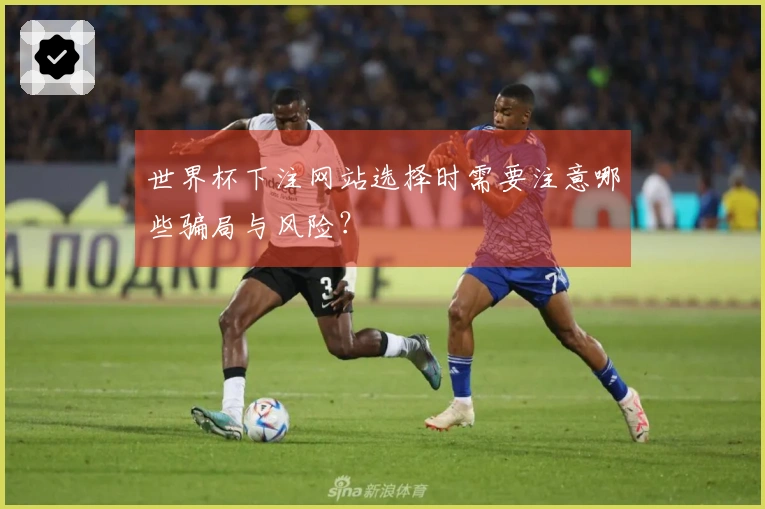 世界杯下注网站选择时需要注意哪些骗局与风险？