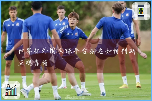 世界杯外围买球平台排名如何判断正规靠谱