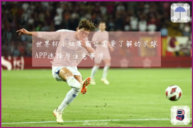 世界杯小组赛前你需要了解的买球APP选择与注意事项