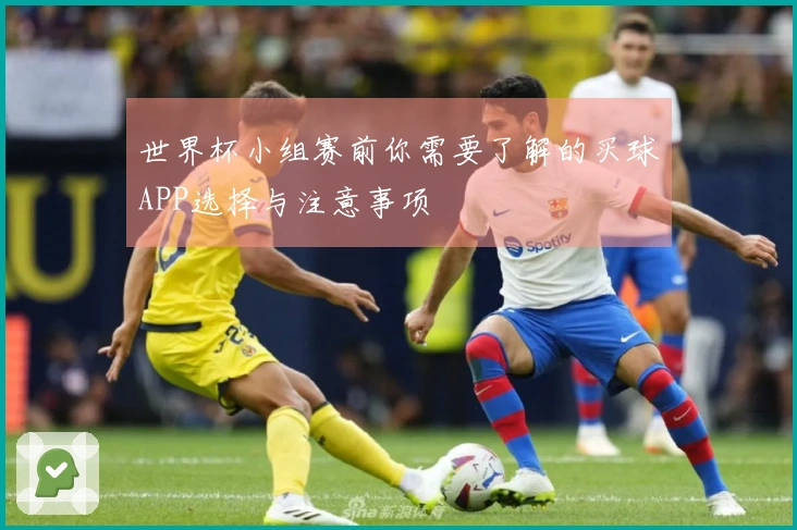 世界杯小组赛前你需要了解的买球APP选择与注意事项
